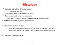 histology MD.pptx